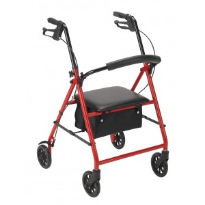 Rollator with 6" Wheels