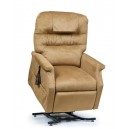 In Autumm Power Lift Chair