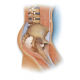 Conditions of the Abdomen